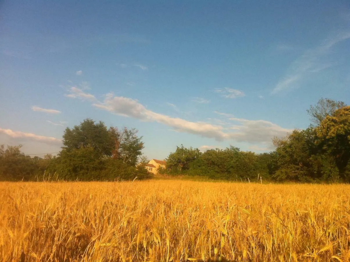 Tenuta Paljari 0*, Vizinada Croatia