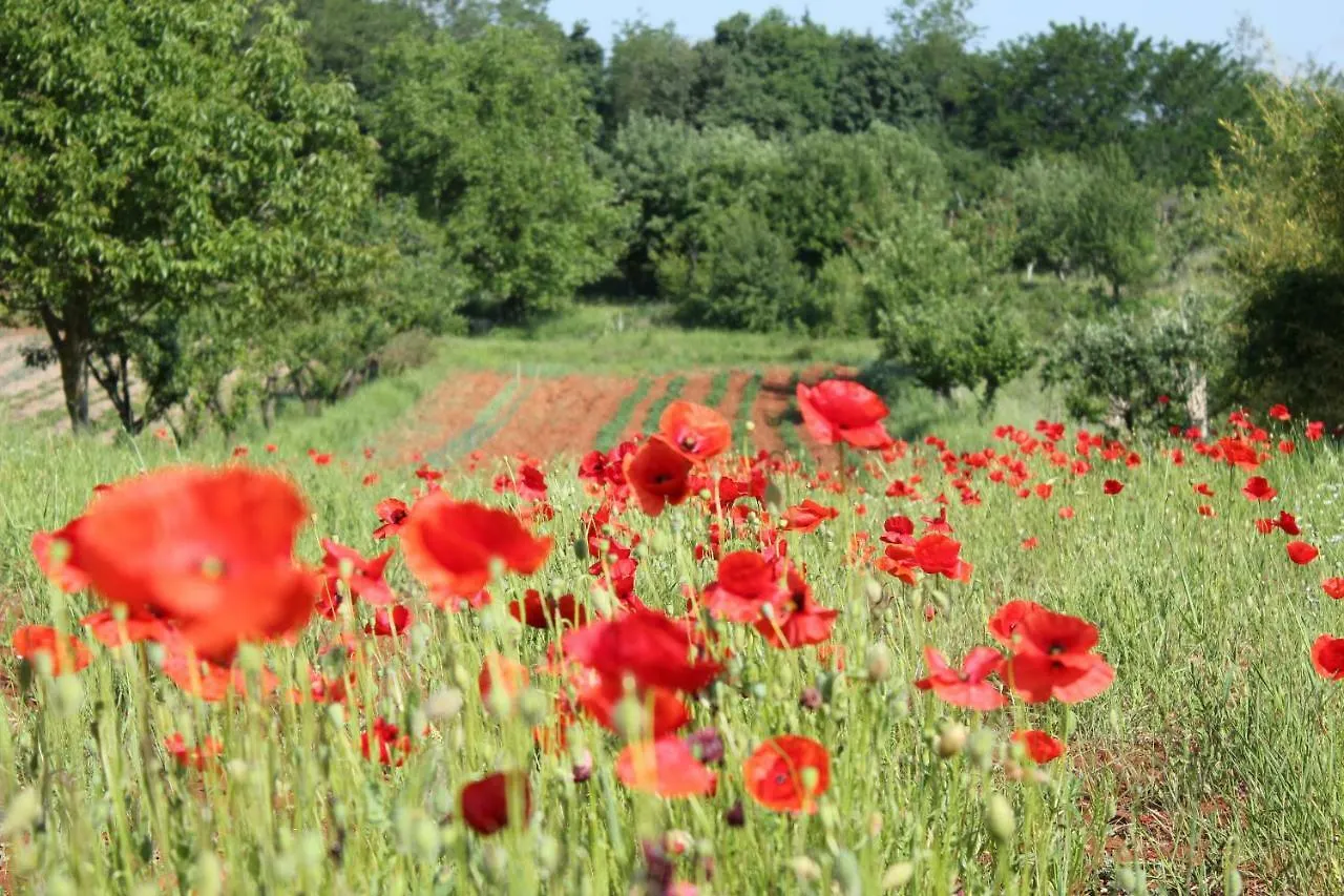 Nyaraló Tenuta Paljari Vižinada Horvátország